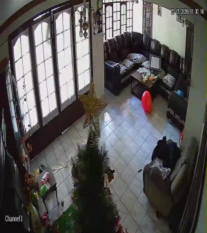 Caméra IP - Bolivien