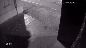 Caméra IP - República de Corea