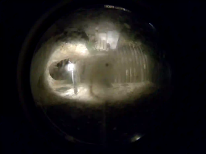 Caméra IP - Italien