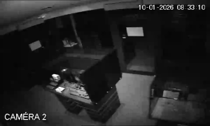 Caméra IP - Francia