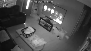 Caméra IP - United States of America