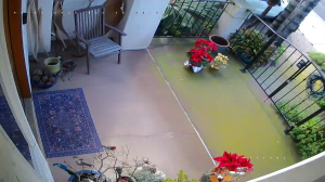 Caméra IP - États-Unis d'Amérique