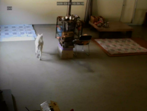 Caméra IP - South Korea