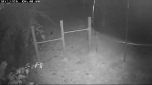 Caméra IP - Belgium