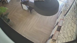 Caméra IP - Stati Uniti d'America