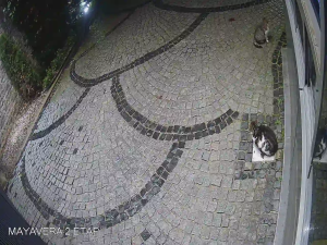 Caméra IP - Türkiye