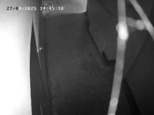 Caméra IP - Russian Federation