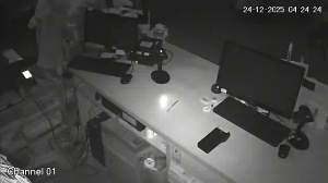 Caméra IP - Montenegro