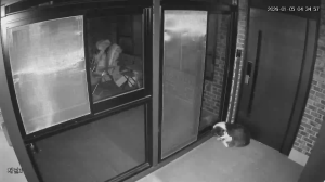 Caméra IP - Corée du Sud