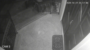 Caméra IP - Estados Unidos