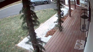 Caméra IP - États-Unis d'Amérique