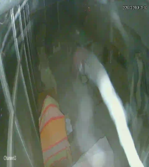 Caméra IP - Bangladesch