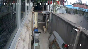Caméra IP - China