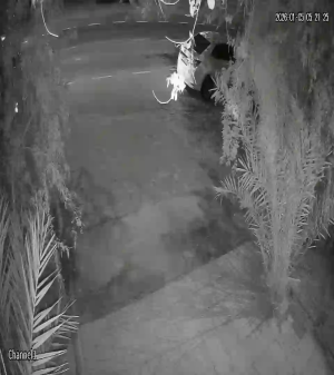 Caméra IP - Émirats Arabes Unis