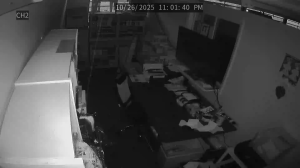 Caméra IP - États-Unis d'Amérique