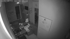 Caméra IP - Russische Föderation