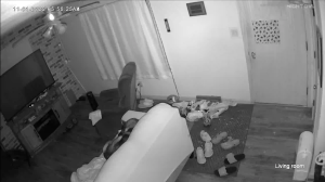 Caméra IP - Vereinigte Staaten von Amerika