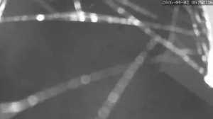 Caméra IP - Royaume-Uni