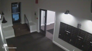 Caméra IP - Stati Uniti d'America