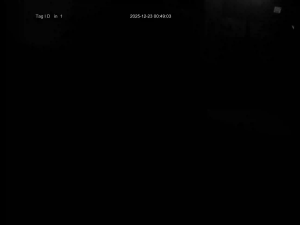 Caméra IP - Vereinigte Staaten von Amerika