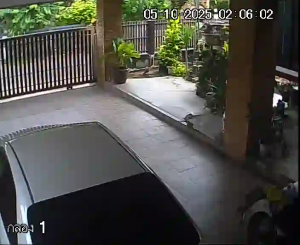 Caméra IP - Thailand