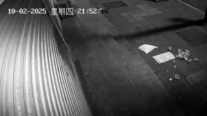 Caméra IP - Cina