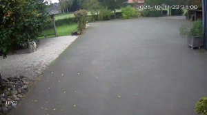 Caméra IP - Netherlands