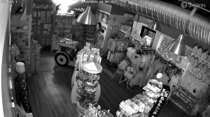 Caméra IP - États-Unis d'Amérique