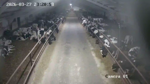 Caméra IP - Biélorussie