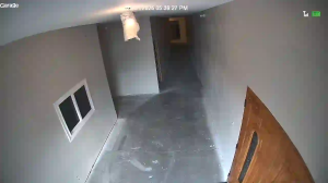 Caméra IP - United States of America