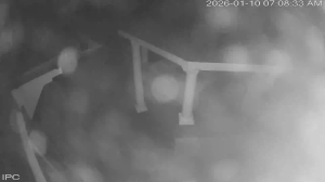 Caméra IP - United States of America