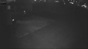 Caméra IP - United States of America