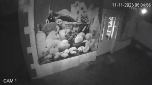 Caméra IP - Moldova, Republic of