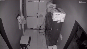 Caméra IP - United States of America