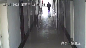 Caméra IP - China