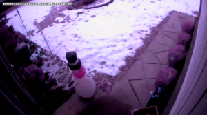 Caméra IP - United States of America