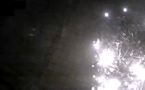 Caméra IP - Germany