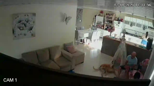 Caméra IP - Argentina