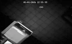 Caméra IP - Germany