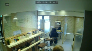 Caméra IP - Giappone