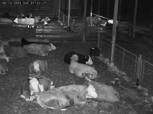 Caméra IP - Finlandia