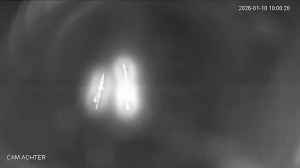 Caméra IP - Paesi Bassi