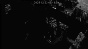 Caméra IP - Südkorea