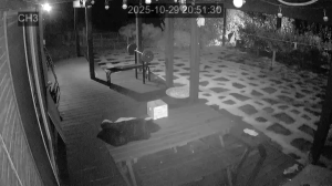 Caméra IP - South Korea