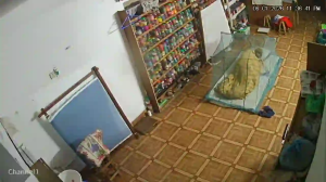 Caméra IP - Bangladesh