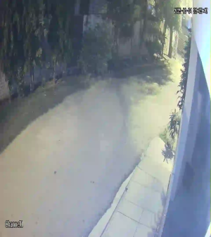 Caméra IP - Pakistan