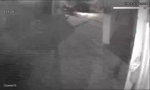 Caméra IP - Türkei