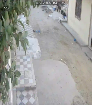 Caméra IP - Tunisie