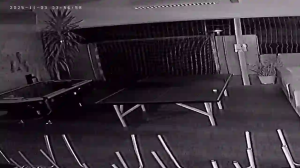 Caméra IP - Denmark