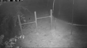 Caméra IP - Belgium